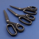 CISEAUX &quot;PROFESSIONNELS&quot; Titane -blister carton